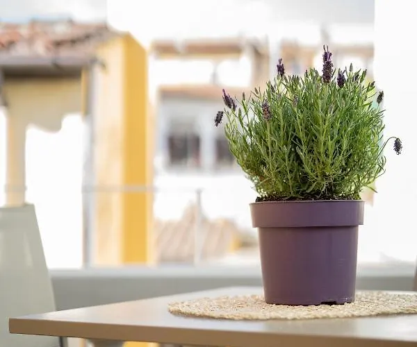 Olive Loft 아파트 피렌체