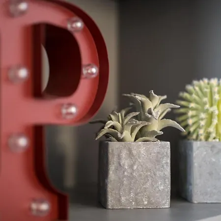 Olive Loft * Firenze